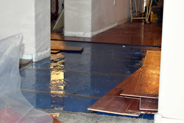 Professional Burst Pipe Cleanup technician working in Beverly, MA